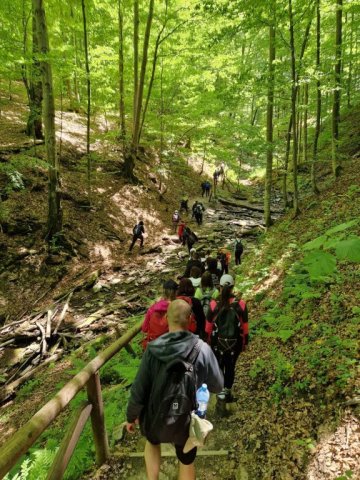 b_1024_768_0_00_images_2022_2023_SKKT_PTTK_rajd_czerwiec_352292131_245009161478314_5868842900064576975_n